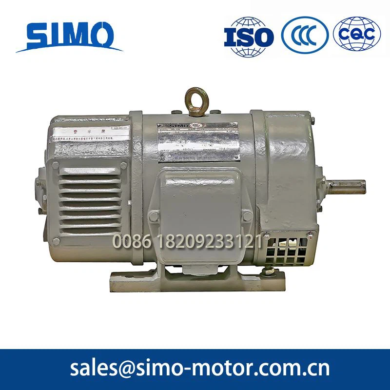 Locomotive Dc Motor